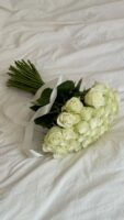 Pristine White Avalanche Roses – Premium Indian Stem