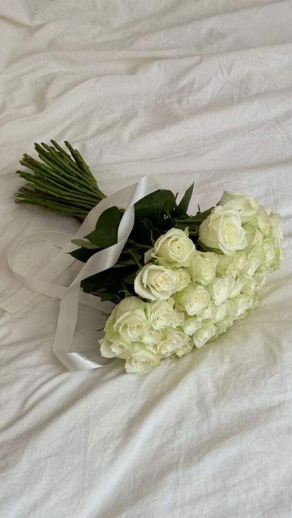 Pristine White Avalanche Roses – Premium Indian Stem