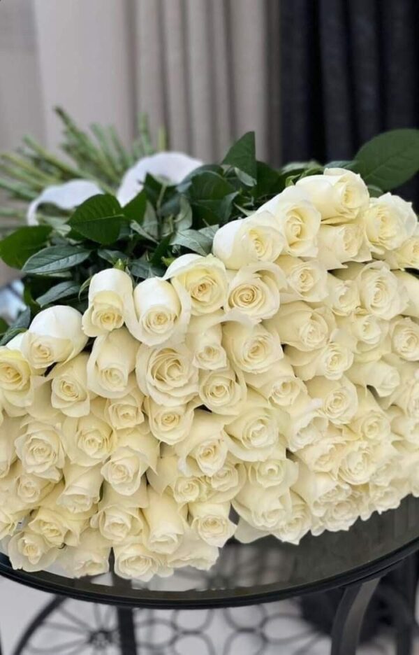 Pristine White Avalanche Roses – Premium Indian Stem