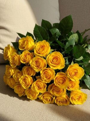 Golden Glow Sun-Kissed Yellow Roses
