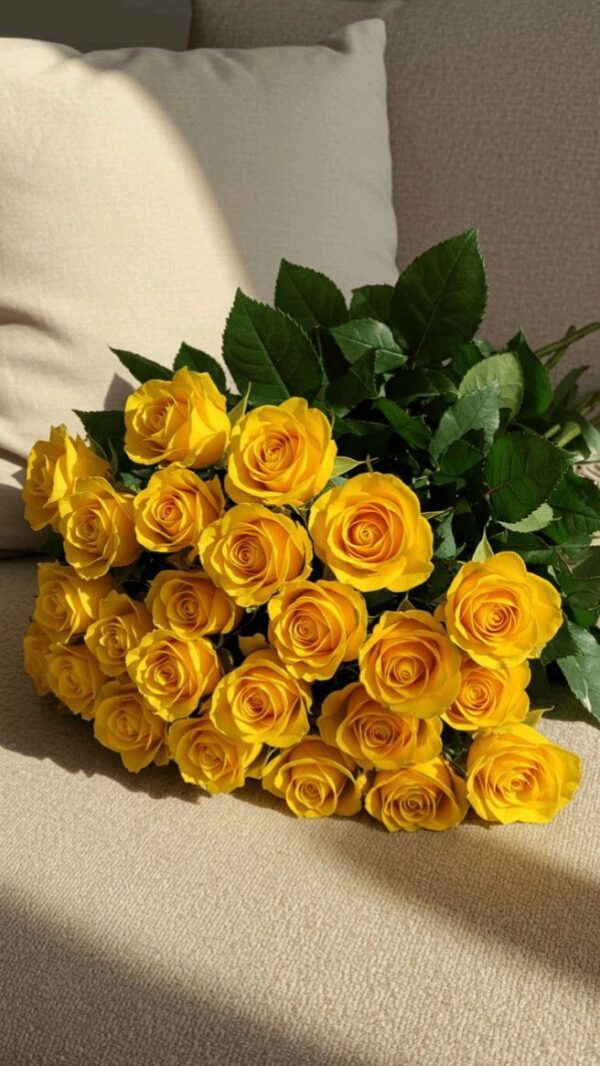 Golden Glow Sun-Kissed Yellow Roses